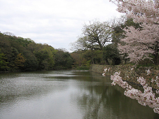 Akashi Castle Moat