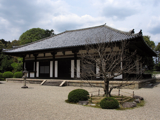 Akishinodera Temple Hondo Tree