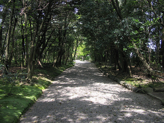 Akishinodera Temple Path