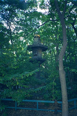 Atsuta Jingu Grand Shrine Lantern