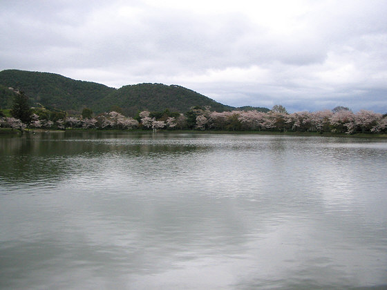 Daikakuji Temple Hills