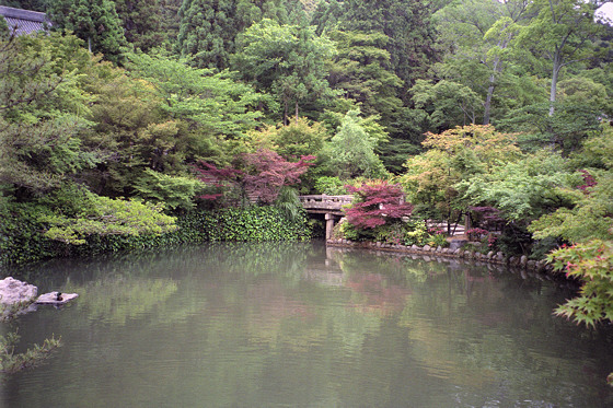 Eikando Temple Pond