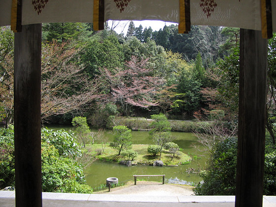 Enjoji Temple Pond