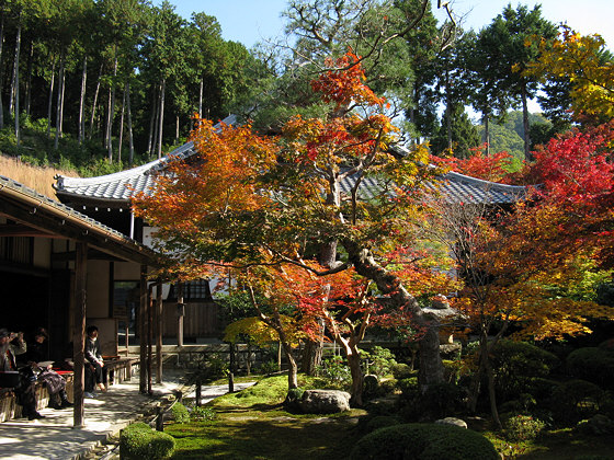 Enkoji Temple Momiji