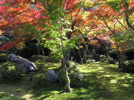 Enkoji Temple Moss Garden