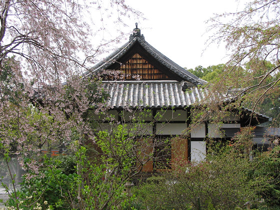 Eshinin Temple Hondo Garden