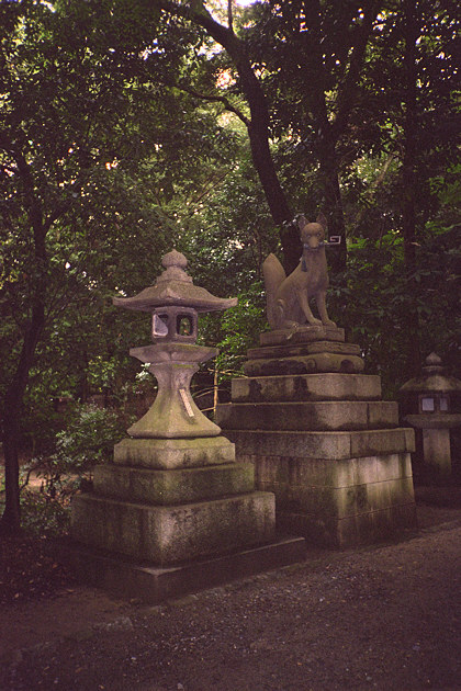 Fushimi-inari Fox