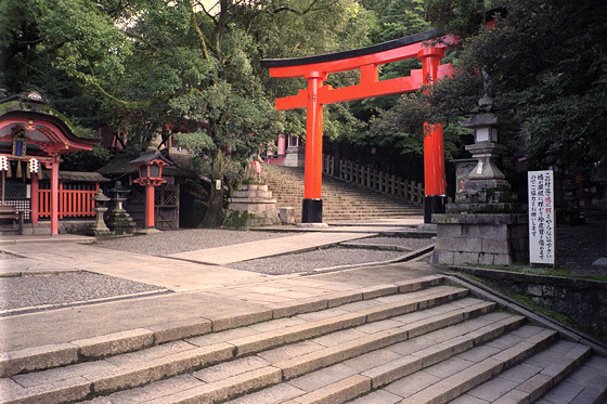 Fushimi-inari Torii