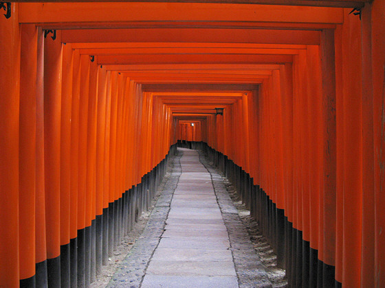 Fushimi-inari Shrine Torii