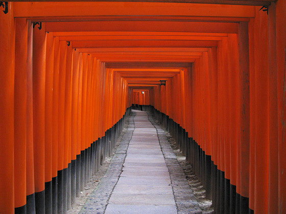 Fushimi-inari Shrine Torii