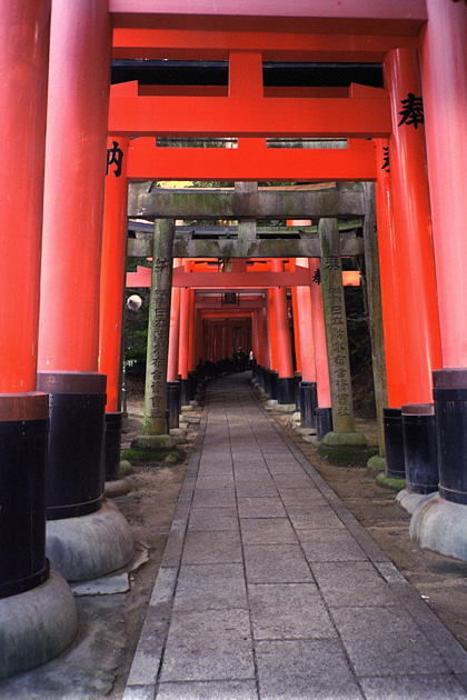 Fushimi-inari shrine torii gates