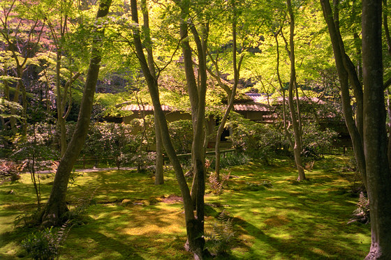 Gio-ji Temple