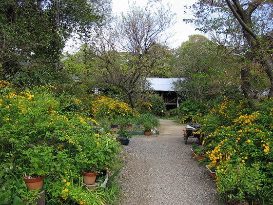 Hannyaji Temple Path