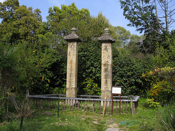 Hannyaji Temple Pillars