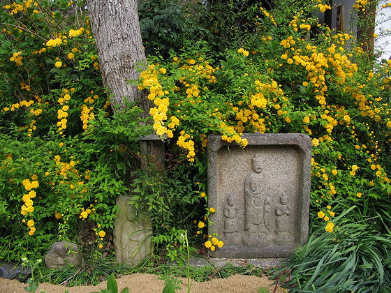 Hannyaji Temple Square