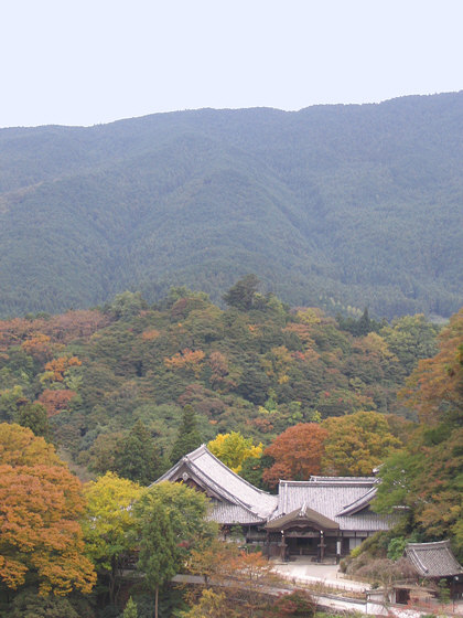 Hasedera Temple Veranda View