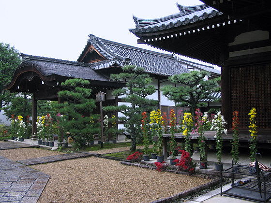 Hokongoin Temple Flowers