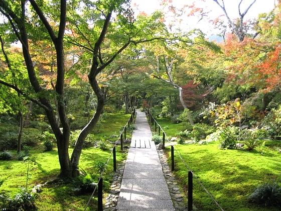 Hokyoin Temple Moss Garden
