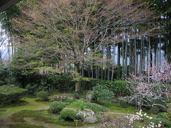 Hosenin Temple Garden