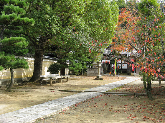 Hotoji Temple Foliage