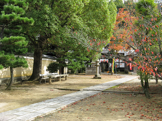 Hotoji Temple Foliage