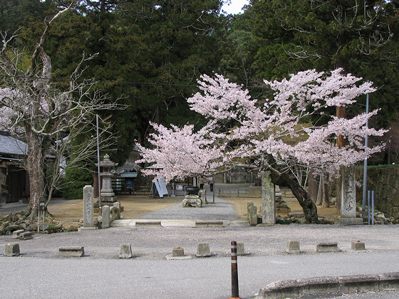 Entrance to Ichijoji Temple