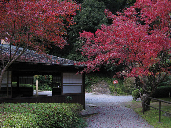 Ishiyamadera Temple Pavillion Foliage