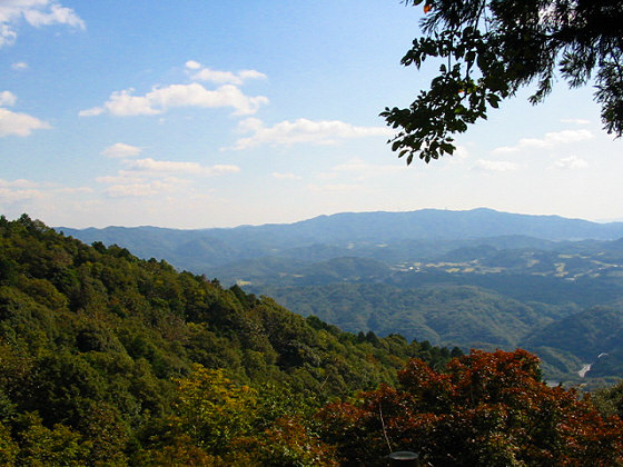 Iwamadera Temple View