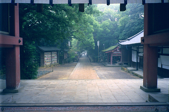 Iwashimizu Hachimangu Shrine Arrows Kyoto