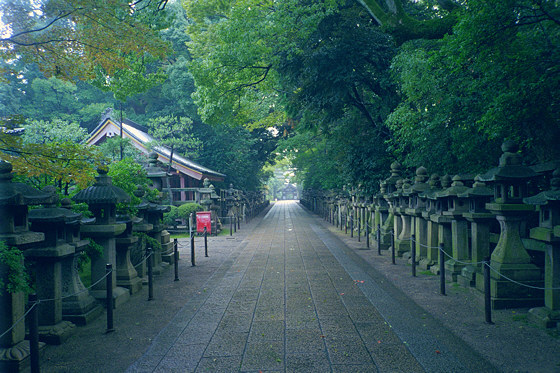 Iwashimizu Hachimangu Shrine Lanterns Kyoto