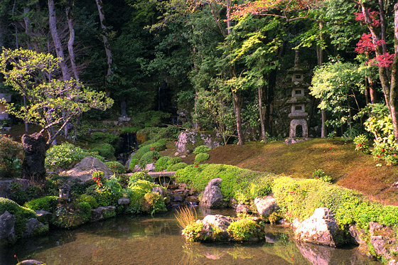 Jakko-in temple garden