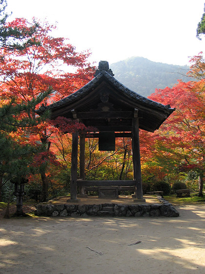 Japanese maple: Saimyoji bell