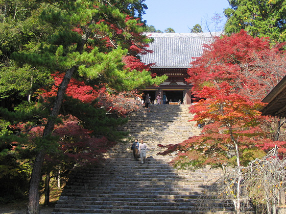 Jingoji Temple Hondo Steps
