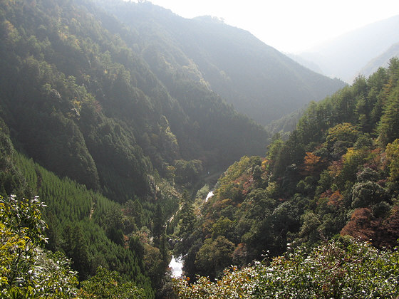 Jingoji Temple Valley