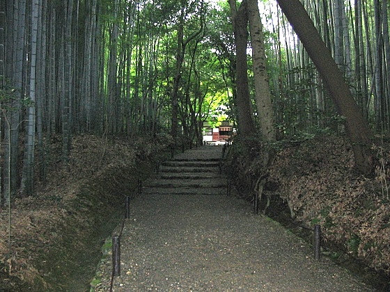 Jizo-in Temple Path
