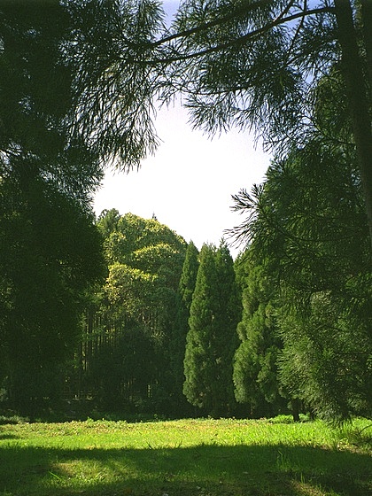 Jokakkoji Temple Meadow