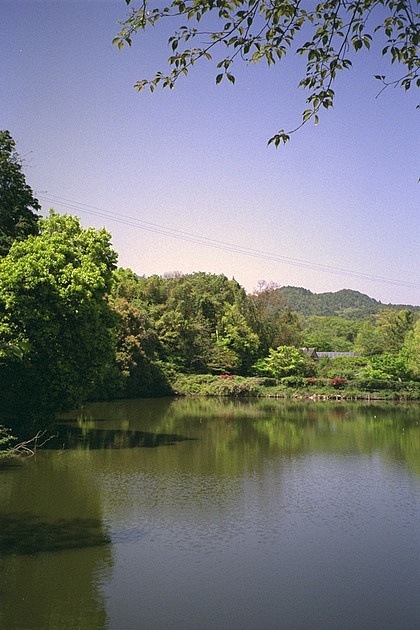Ogura Pond in Arashiyama