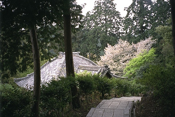 Jurinji Temple Hondo