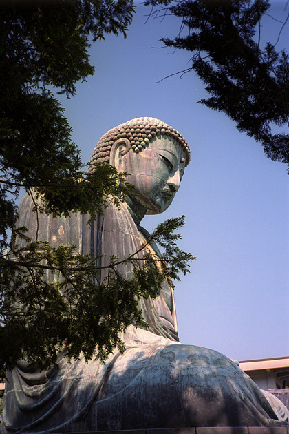 Kamakura Daibutsu