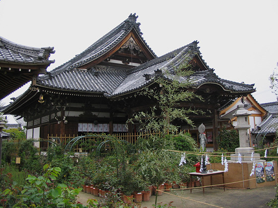 Kannondera Temple Hondo