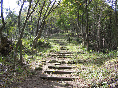 Kannonshoji Temple Path