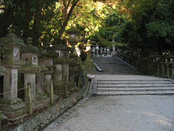 Kasuga Shrine lanterns