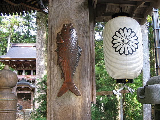 Kegonji Temple Fish