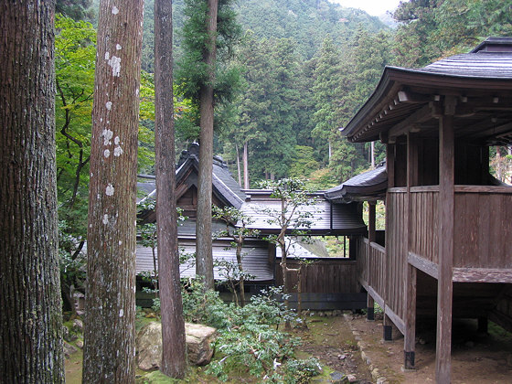 Kegonji Temple Forest