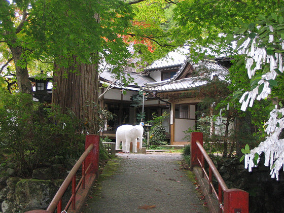 Kegonji Temple White Elephant