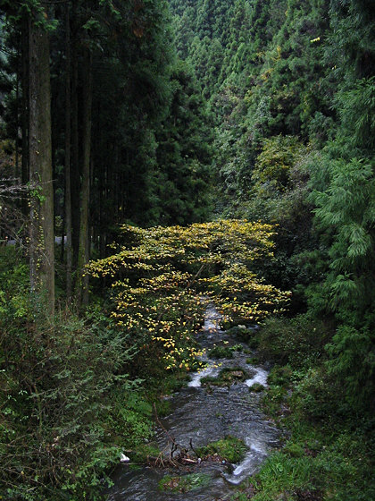 Kibune River