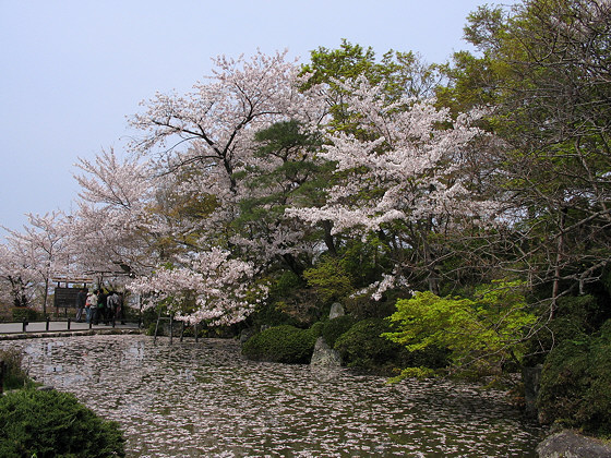 Kiyomizu Temple Pond