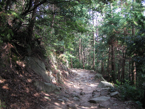 Kiyomizudera Temple Hyogo Pilgrim Path