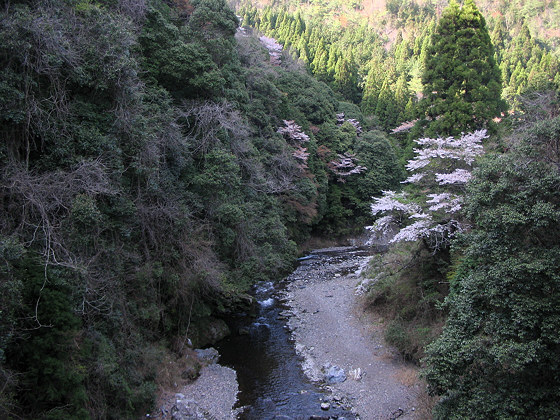 Kiyotaki Extra Bridge View