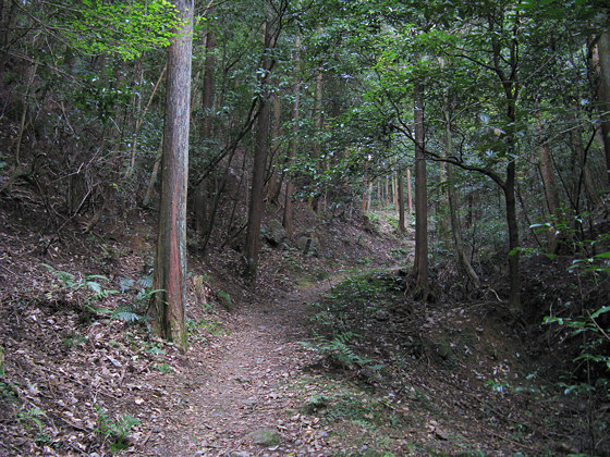 Kotoku-an Path